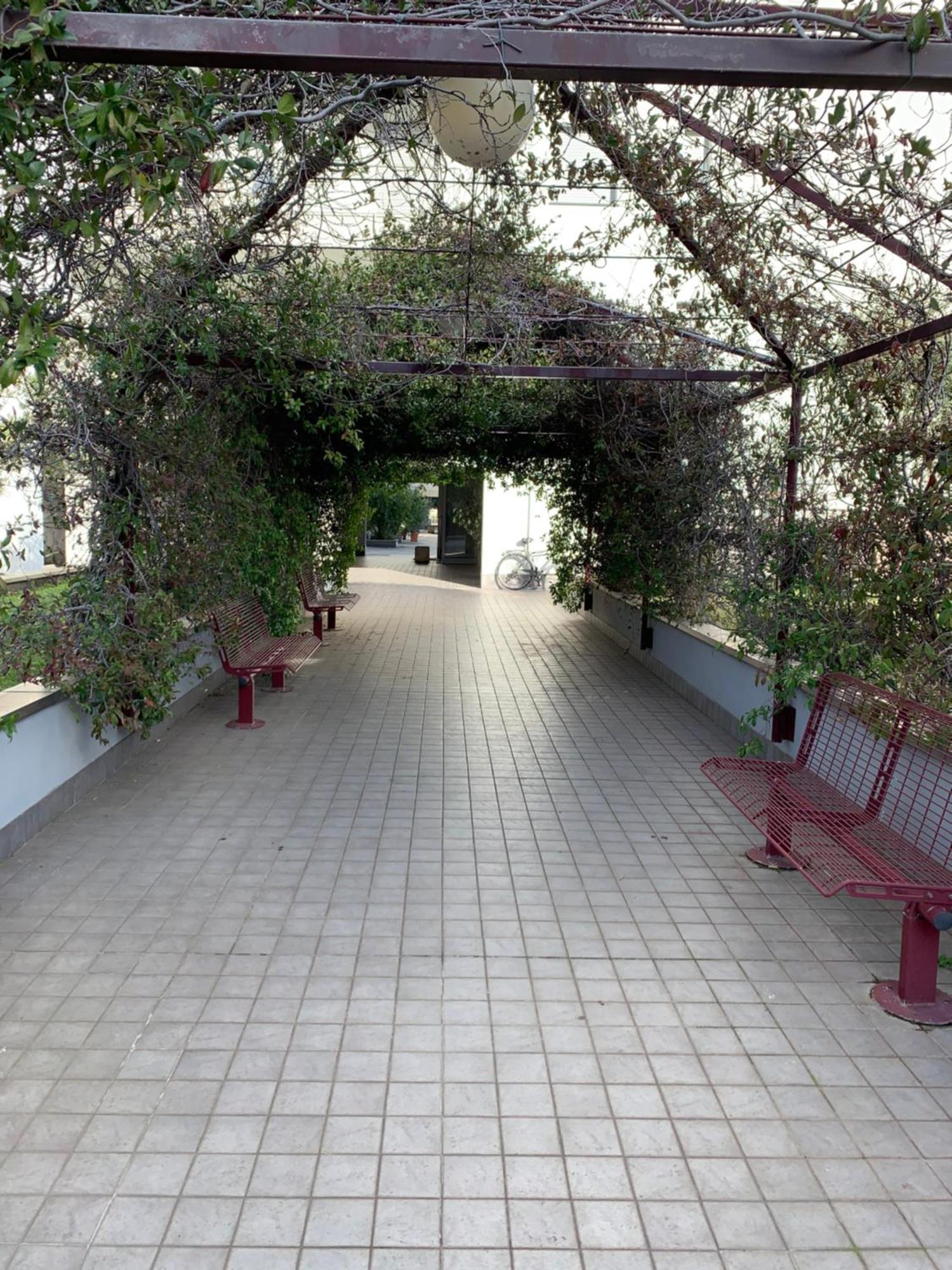 Vista Mare Apartment Savona Exterior foto
